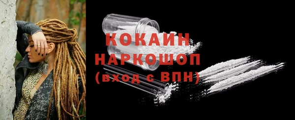 винт Дмитриев