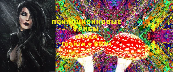 mix Дмитров