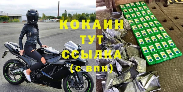 винт Дмитриев