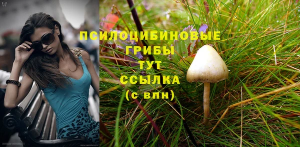 винт Дмитриев
