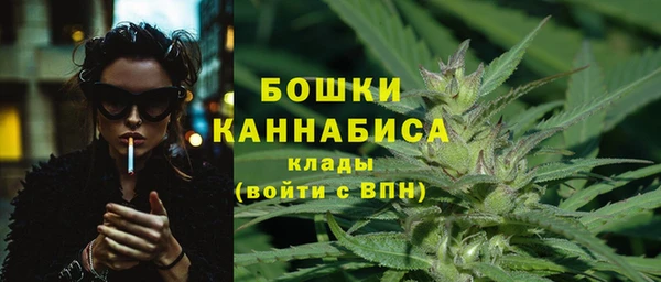винт Дмитриев