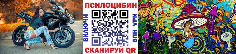 Псилоцибиновые грибы Cubensis магазин наркотиков Жердевка